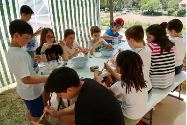 Campamento Frog Talleres Campamento Frog Talleres
