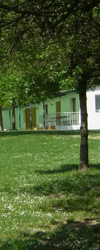 Campamento Inmersión Inglés Verano Campamento Inmersión Inglés Verano