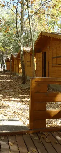 Campamento Bilingüe Inglés Verano destino 2020_1 Campamento Bilingüe Inglés Verano