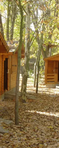 Campamento Bilingüe Inglés Verano destino 2020_3 Campamento Bilingüe Inglés Verano