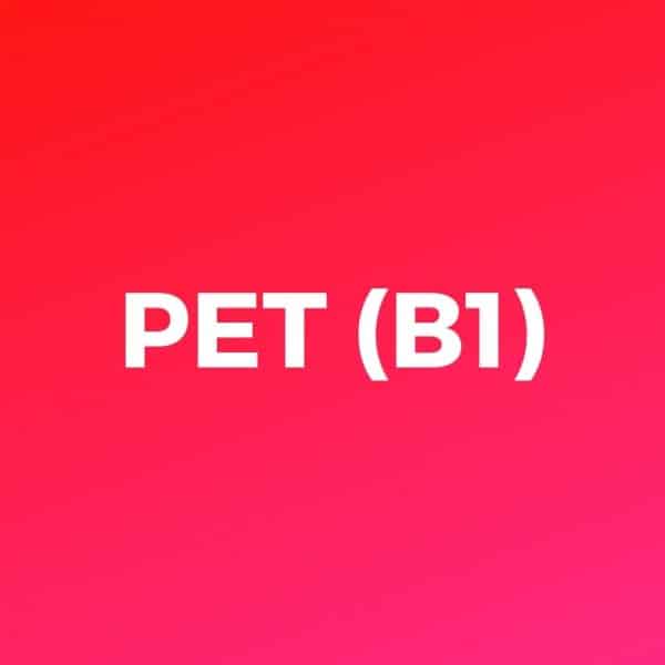 Logo Woocommerce PET B1