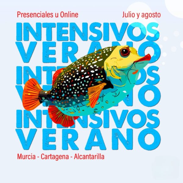 Intensivo julio 2025